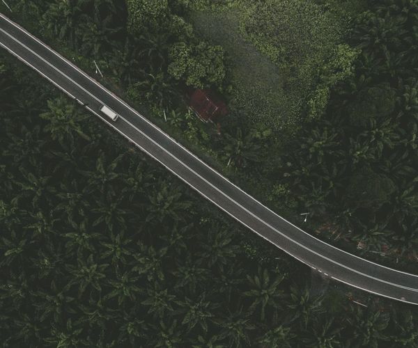 A long, winding path through a green forest, symbolizing a long-term journey.